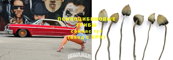 сатива Арсеньев