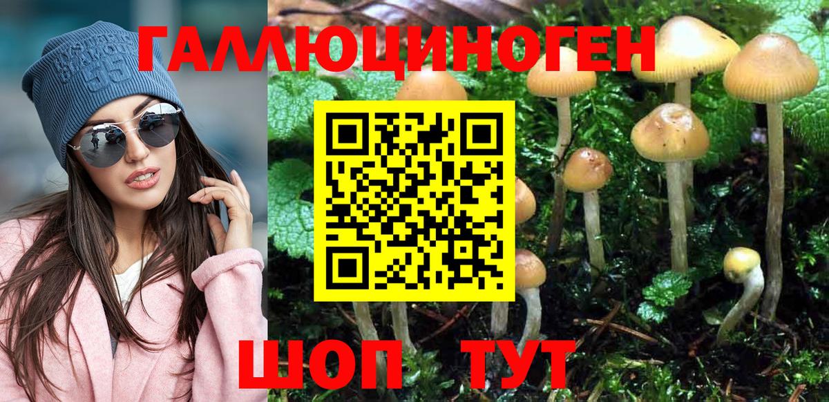 Галлюциногенные грибы GOLDEN TEACHER  Вход с VPN  Псилоцибиновые грибы ЛСД  Кировск 